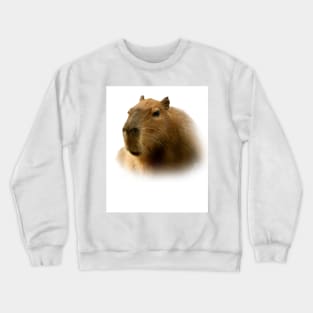 Capybara Crewneck Sweatshirt